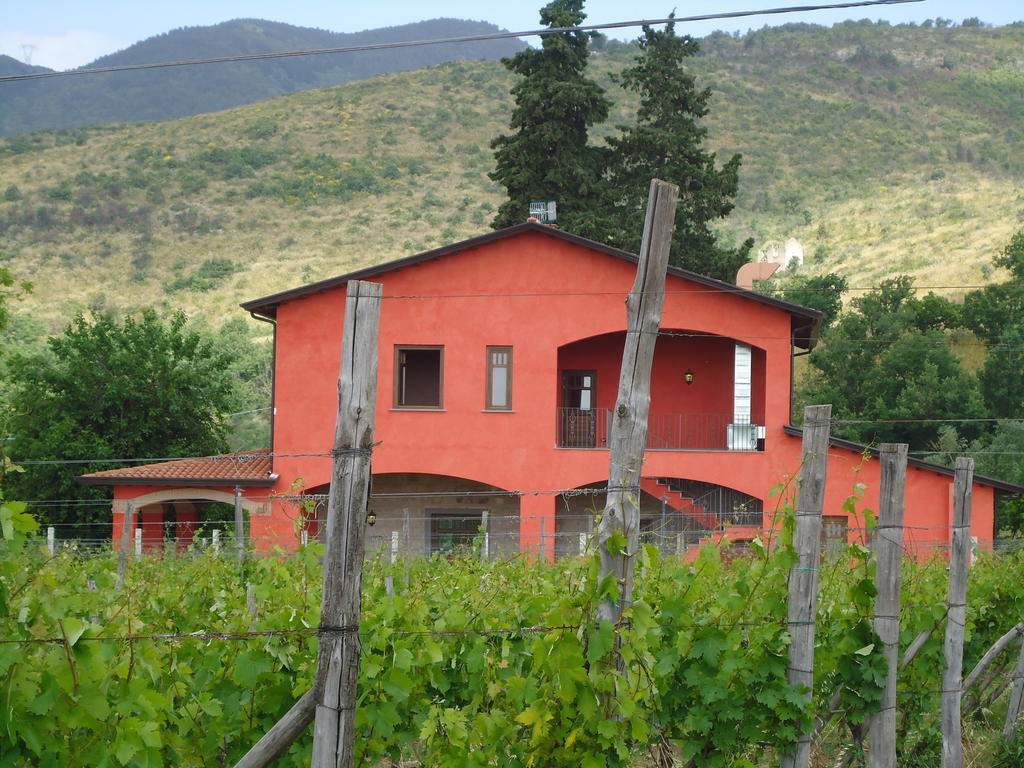 Agrituirsmo Masseria Campierti Falciano del Massico Exteriör bild